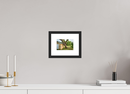 6 x 4″, Framed Prints Tree Trouble