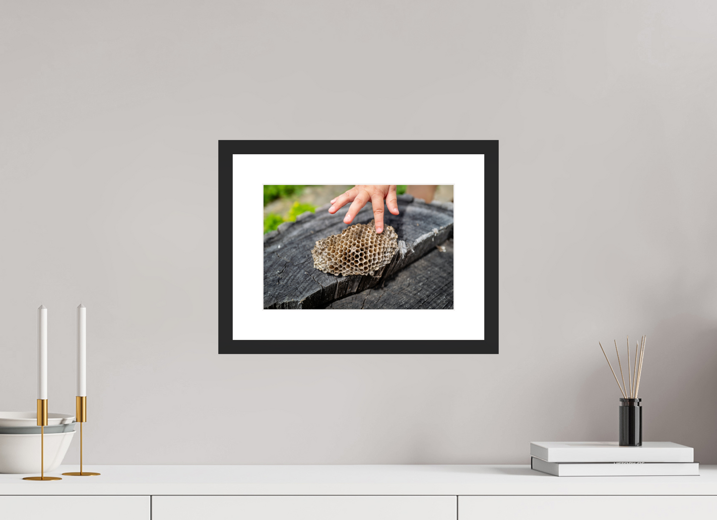 12 x 8″, Framed Prints Empty Nest