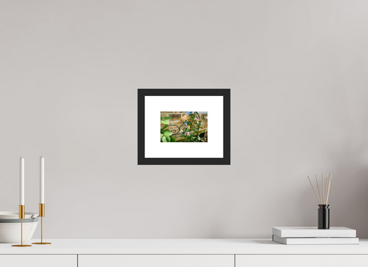 6 x 4″, Framed Prints Deadheading