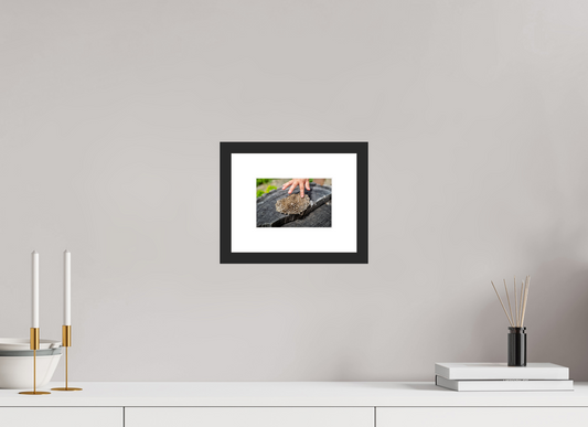 6 x 4″, Framed Prints Empty Nest